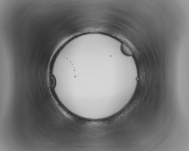 X0000111850894200908201235