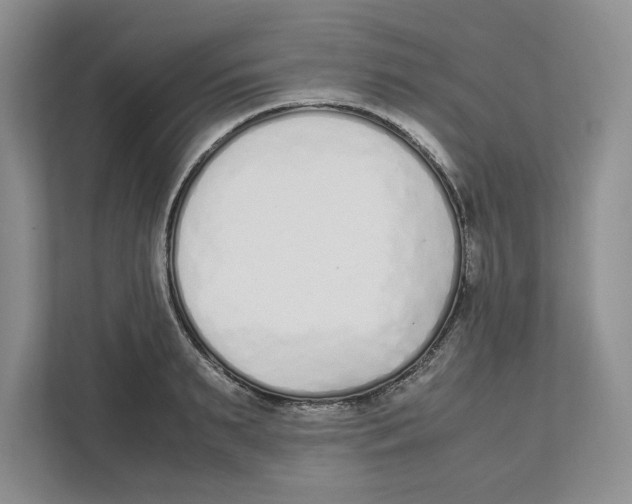 X0000111850895200908201235