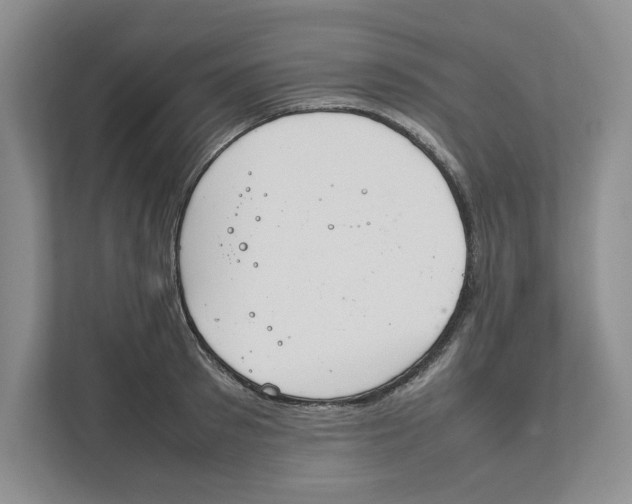 X0000111850897200908201235