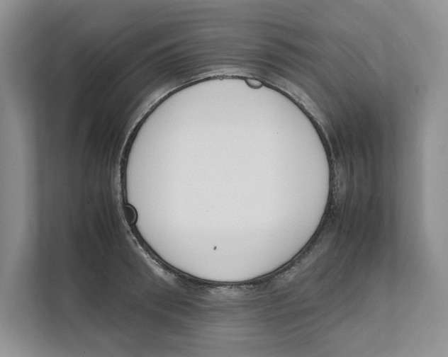 X0000111850898200908201235