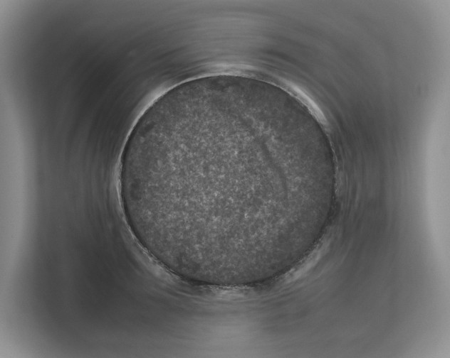 X0000111850899200908201235