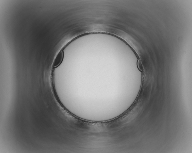 X0000111850901200908201235