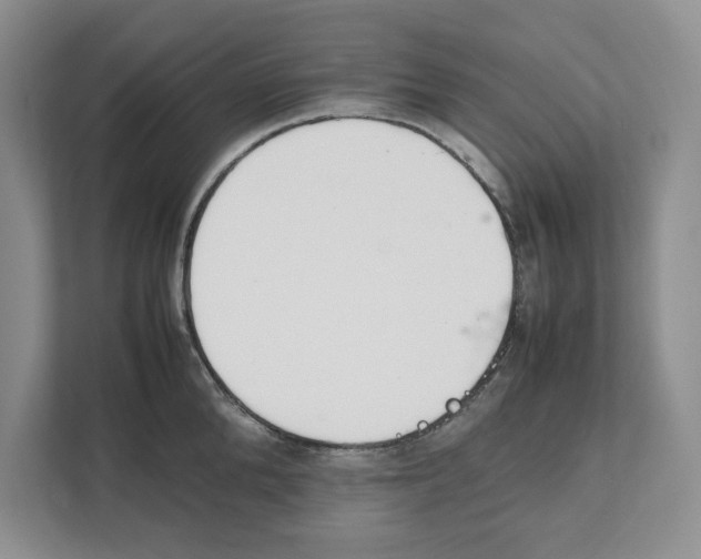 X0000111850904200908201235