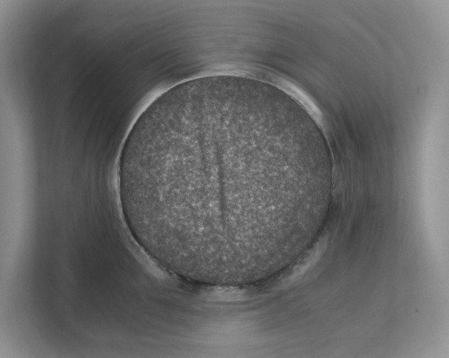 X0000111850907200908201234