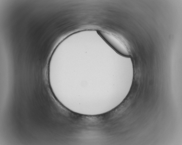 X0000111850911200908201234