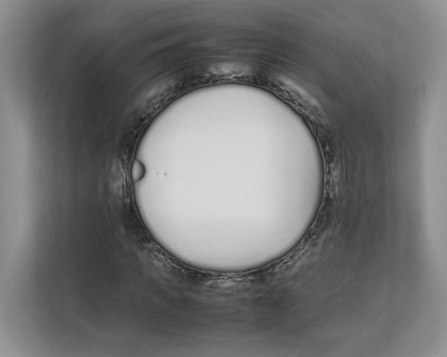X0000111850917200908201234