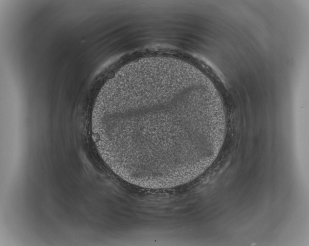 X0000111850919200908201234