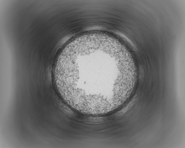 X0000111850921200908201234