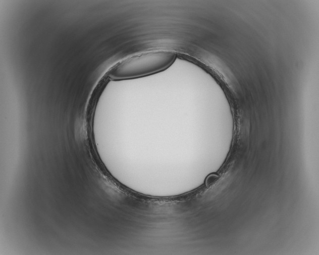 X0000111850924200908201234