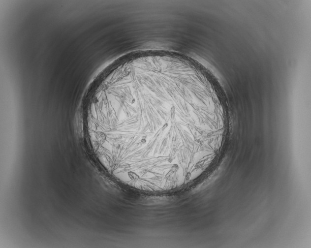 X0000111850925200908201234