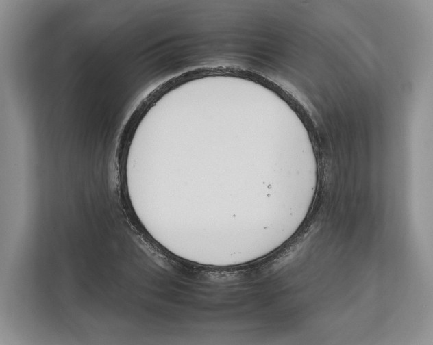 X0000111850927200908201234