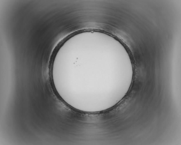 X0000111850928200908201234