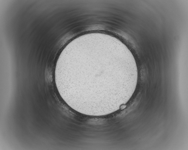 X0000111850929200908201234