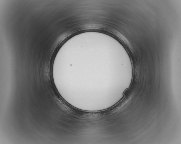 X0000111850930200908201234