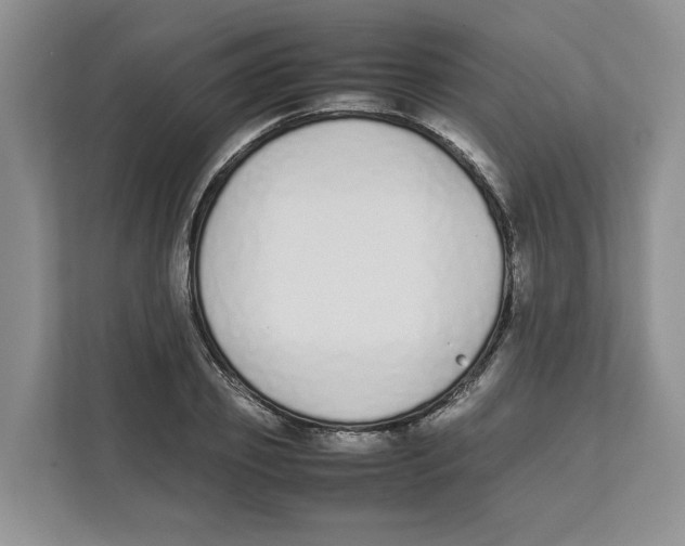 X0000111850933200908201234