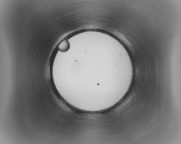 X0000111850934200908201234