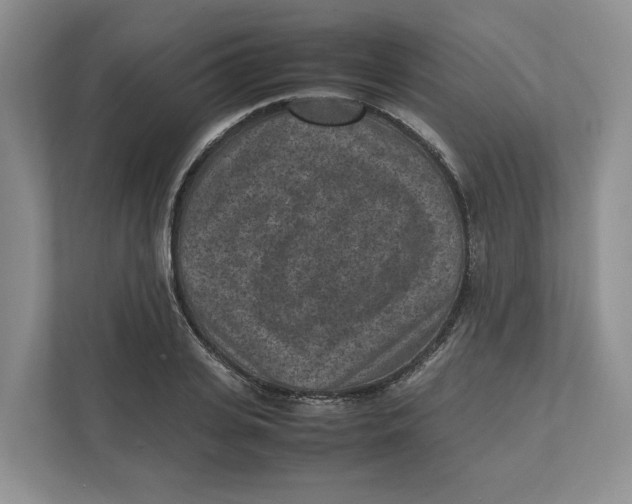 X0000111850935200908201234
