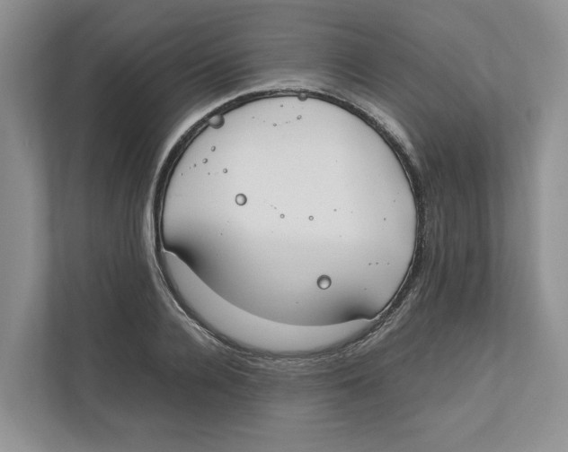 X0000111850936200908201234