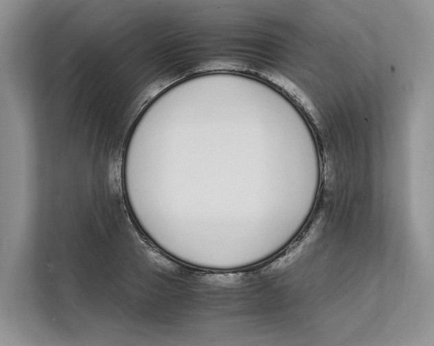X0000111850937200908201234