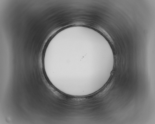 X0000111850939200908201234