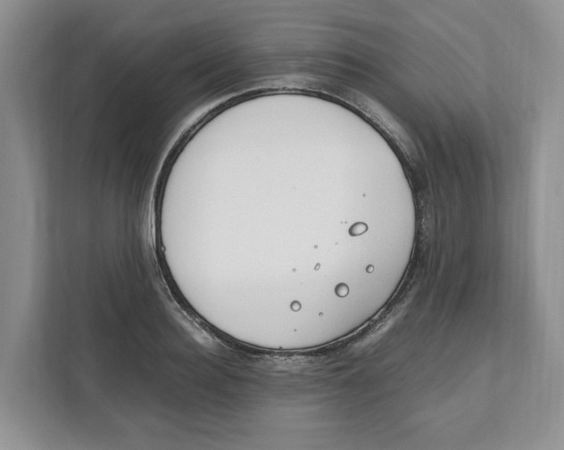 X0000111850940200908201234