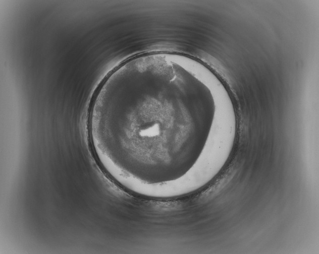 X0000111850941200908201234