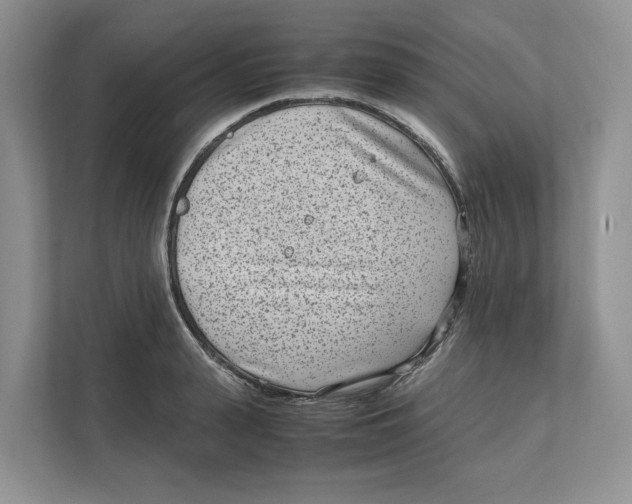 X0000111850943200908201234