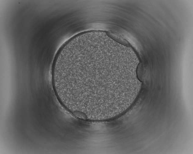 X0000111850944200908201234