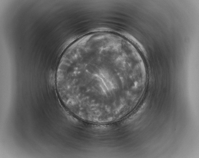 X0000111850945200908201234