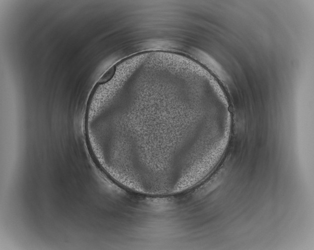 X0000111850946200908201234