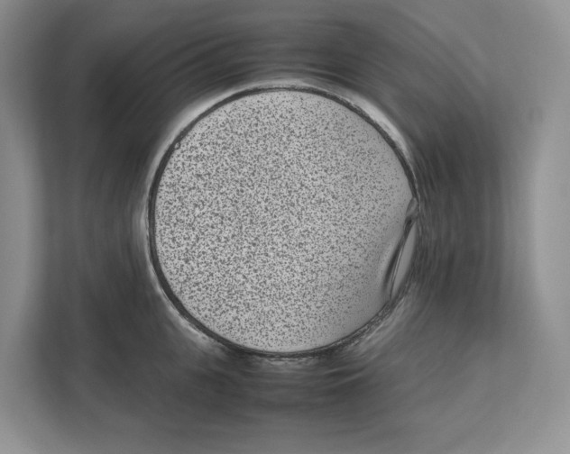 X0000111850951200908201234