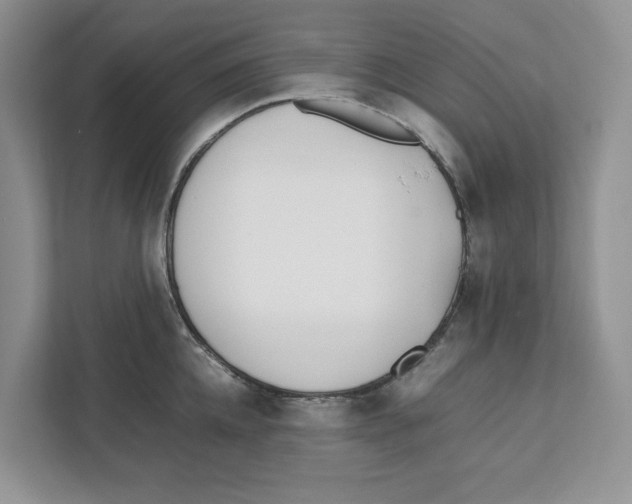 X0000111850952200908201234