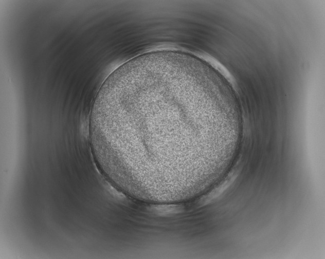 X0000111850953200908201234