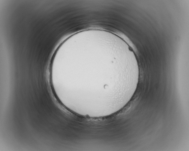 X0000111850955200908201234