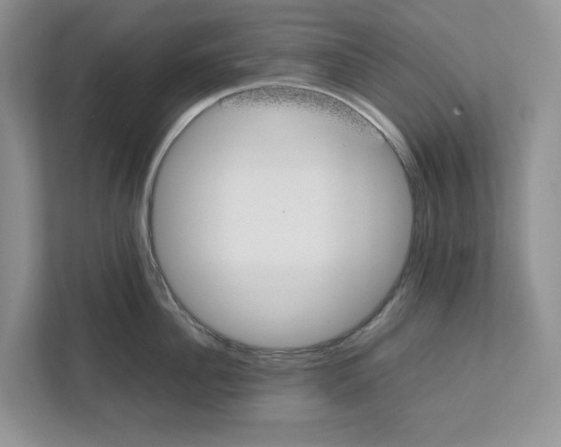 X0000111850956200908201234