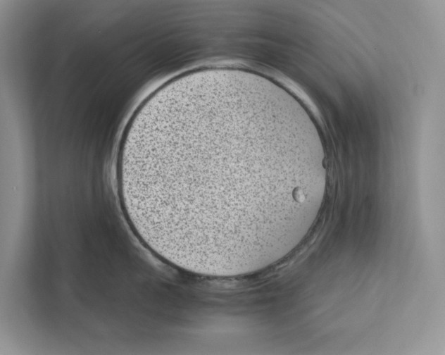 X0000111850959200908201234