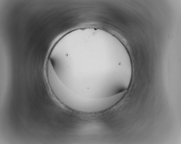 X0000111850960200908201234
