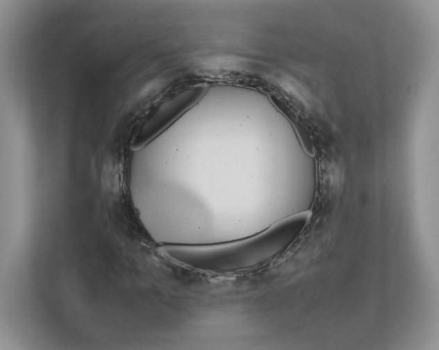 X0000111850965200908201234