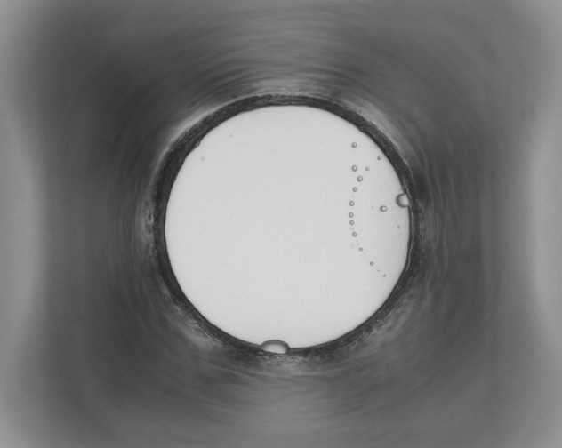 X0000111850971200908201234