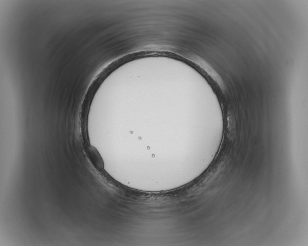 X0000111850972200908201234