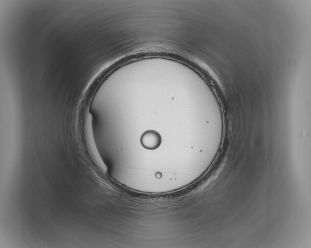 X0000111850973200908201234