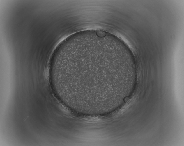 X0000111850975200908201234