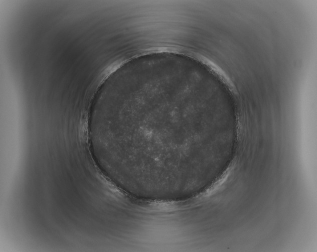 X0000111850977200908201234