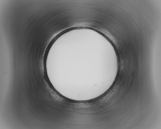 X0000111850980200908201234