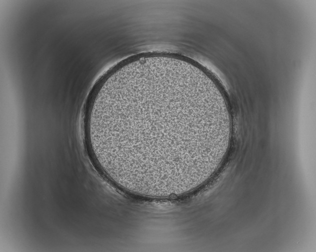 X0000111850983200908201233