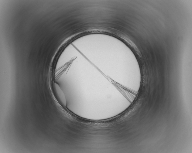 X0000111850984200908201233