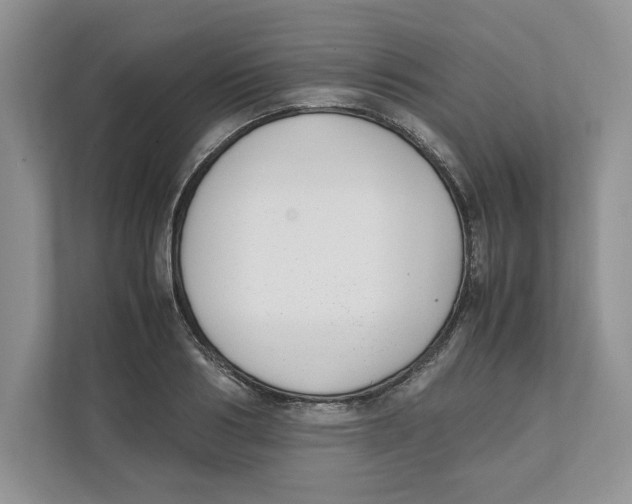 X0000111850986200908201233