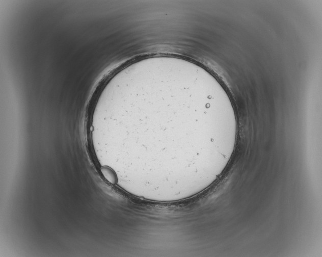X0000111850987200908201233