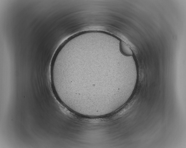 X0000111850988200908201233