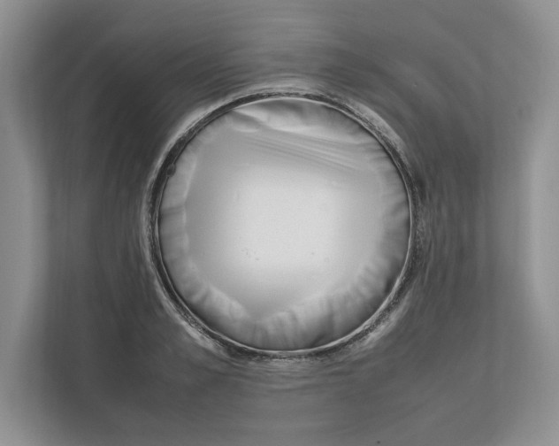 X0000111850989200908201233